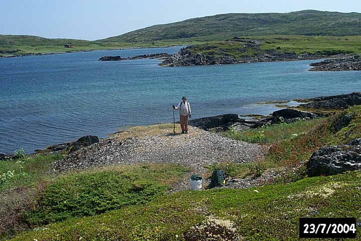 Tailings from a small 19th-century mine.